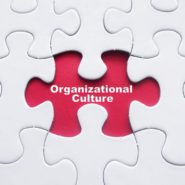 De elementen van organisatiecultuur zijn symbolen, helden, rituelen en waarden.