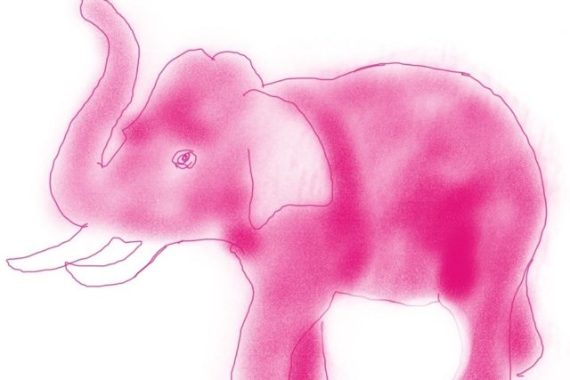 hiërarchie Verhoogd zitten Roze olifanten - Boom Management