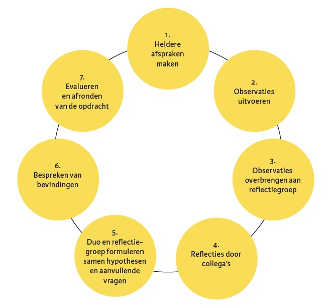 Proces van de organisatieobservatie in een cirkeldiagram