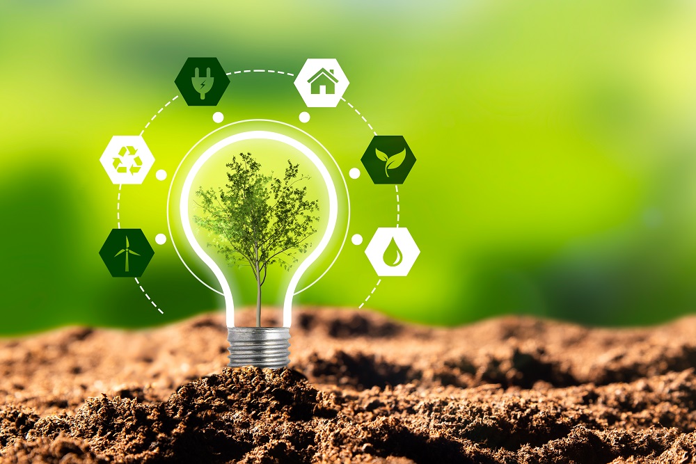 Klimaatpositief ondernemen vraagt moed - Boom Management
