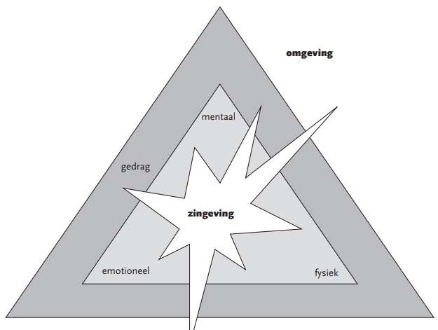 Het stermodel van de zes ontwikkelingsniveaus bij communicatieprocessen