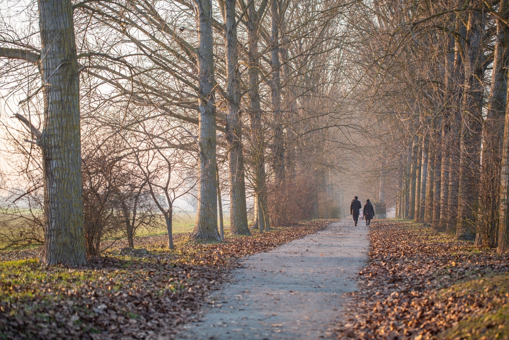 wandelcoaching Krachtvan de natuur