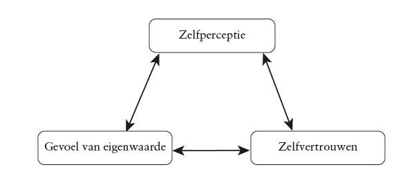 Samenstelling zelfperceptie