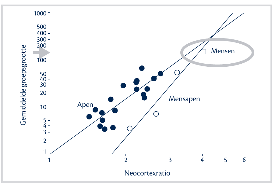 Groepsgrootte versus hersenvolume ( met toestemming van Dunbar overgenomen, zie Dunbar, 2002 en Barrett et al, 2002)