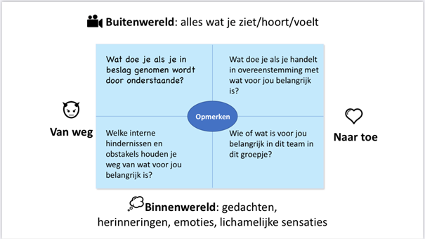 ACT staat voor Acceptance and Commitment Therapy. (bron: Jenny Blaauwbroek & Matthijs Steeneveld, Teamkracht met prosocial (2023))