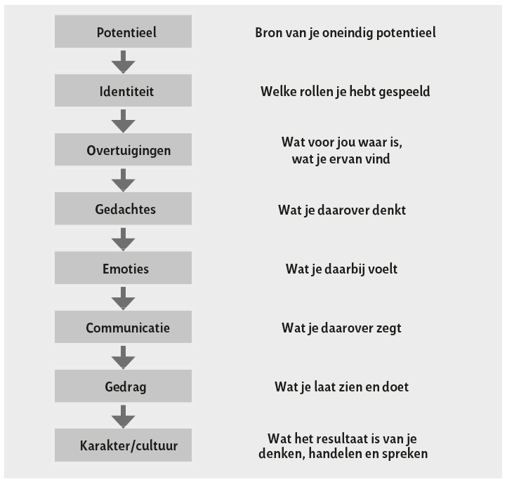 The Learning Levels (bron: Bateson, 1989) - Model voor overtuigingen