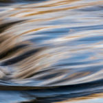 De leider als hoeder van de vitaliteit