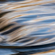 De leider als hoeder van de vitaliteit