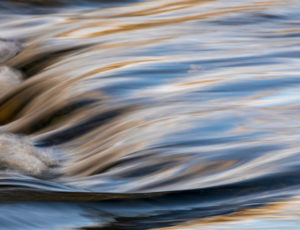 De leider als hoeder van de vitaliteit