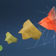 transformatie coachen kern