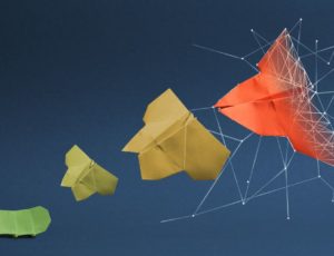 transformatie coachen kern