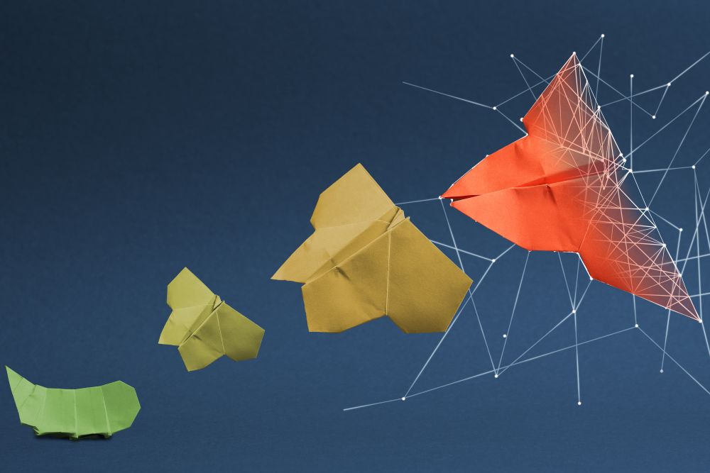 transformatie coachen kern