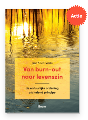 Actie Burn-out levenszin