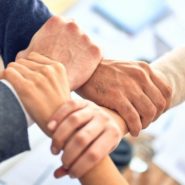 Meer dan marketing: de strategie achter blijvende merkgroei