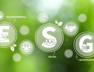 Duurzaam werkgeverschap