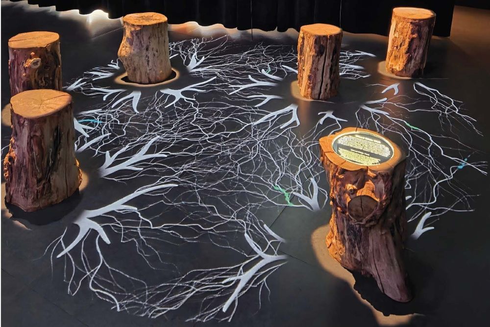 Alles is verbonden_1000