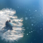 Werken aan een mooiere wereld Veranderen voor de toekomst