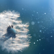 Werken aan een mooiere wereld Veranderen voor de toekomst