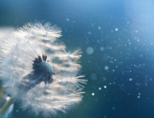 Werken aan een mooiere wereld Veranderen voor de toekomst