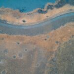 Veranderen in een web van meer‑dan‑menselijke medespelers