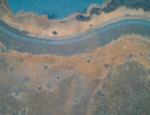 Veranderen in een web van meer‑dan‑menselijke medespelers