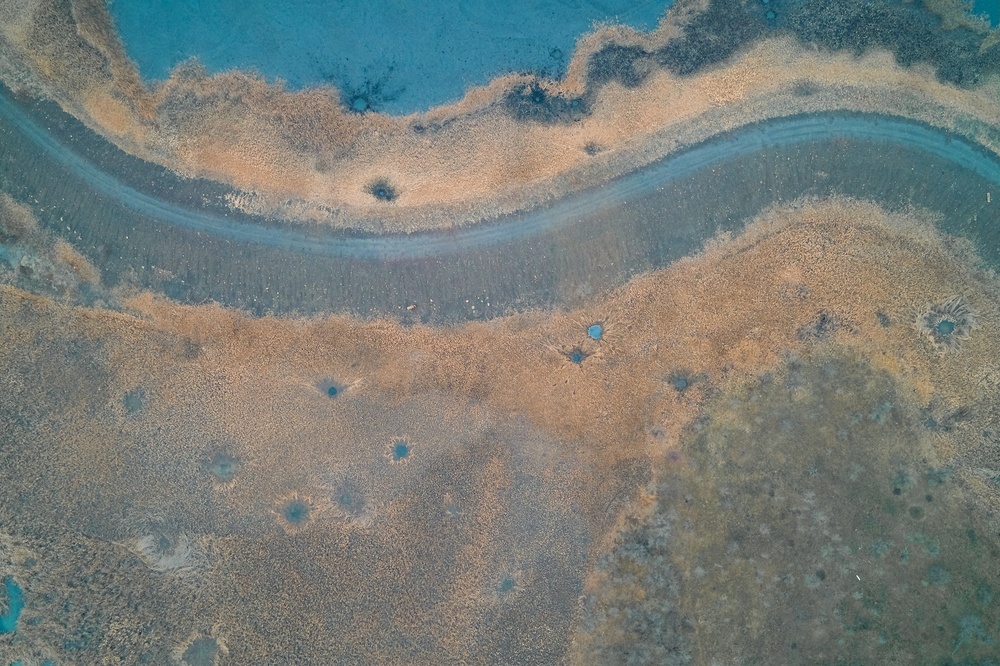 Veranderen in een web van meer‑dan‑menselijke medespelers