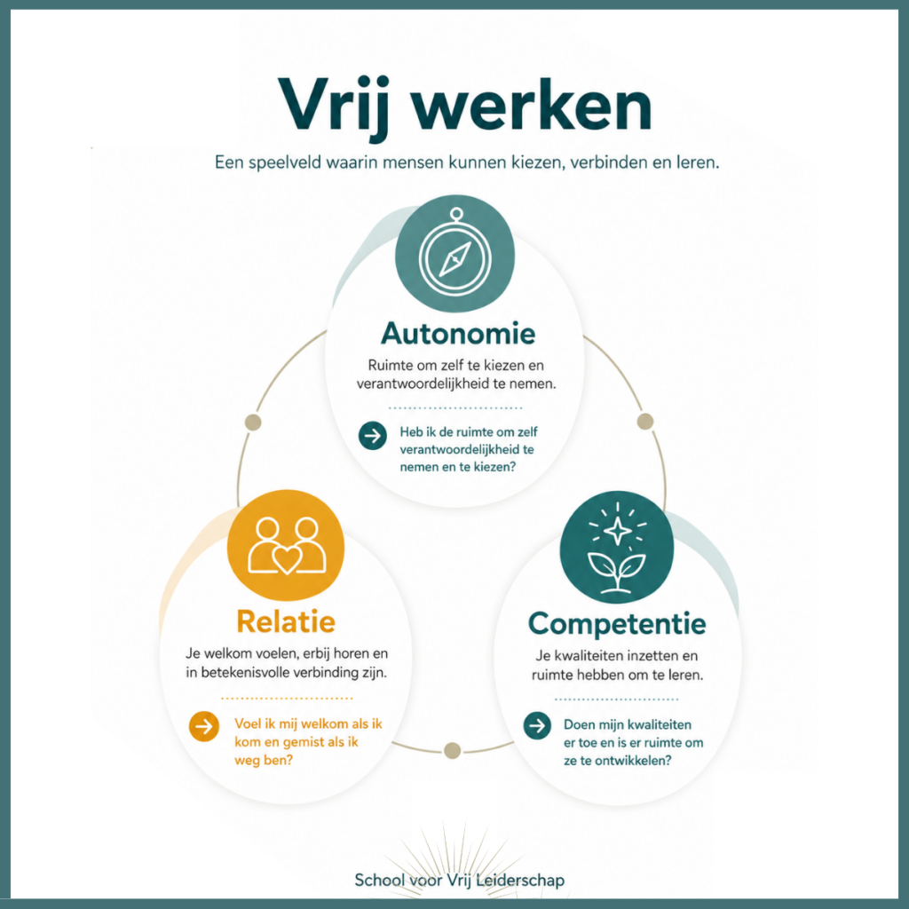 Afbeelding met diagram van de menselijke basisbehoeften: Autonomie, Relatie en Competentie