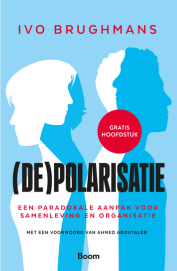 De paradoxale aanpak
